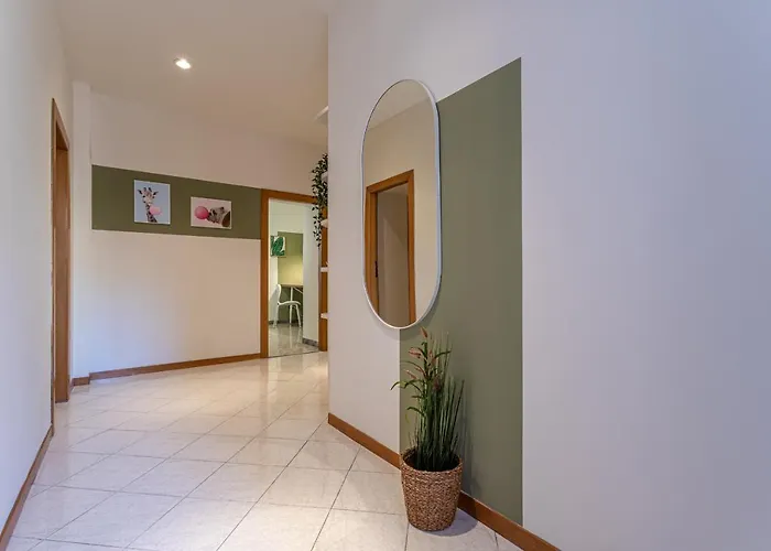 Bubbles A Piazza Trilussa In Trastevere